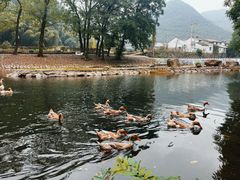 -鹿亭中村