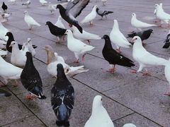 -人民广场