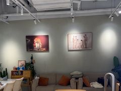 -iF摄影•全家福•证件照•形象照(南山店)