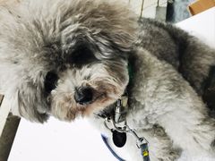 -默迹咖啡馆