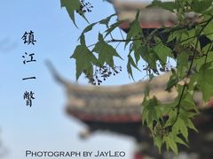 -邵顺兴锅盖面(金山宝地店)