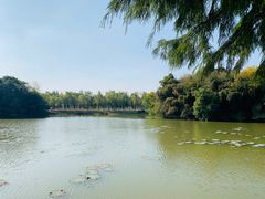 -艾溪湖湿地公园