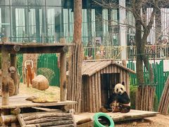 -大连森林动物园