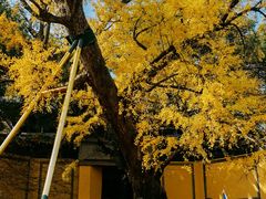 -无锡惠山寺