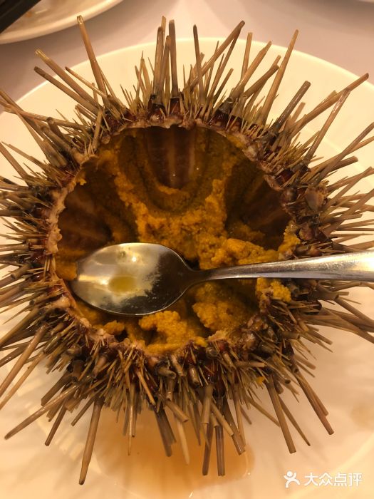 生吃海胆