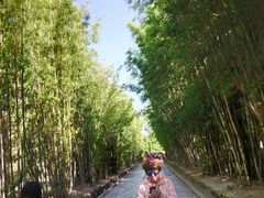 -蝴蝶泉公园