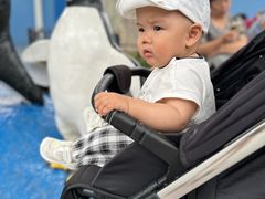 -上海跨国采购会展中心
