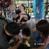 蘑菇变形记