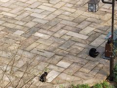 -杭州半山国家森林公园