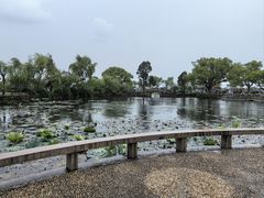 -无锡蠡湖国家湿地公园-蠡园