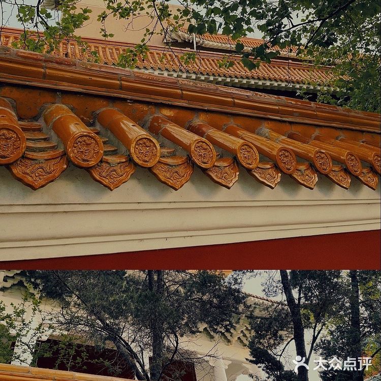 青岛网红打卡地｜青岛大学路网红转角墙