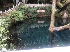 -蝴蝶泉公园