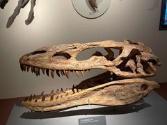 -自贡恐龙博物馆