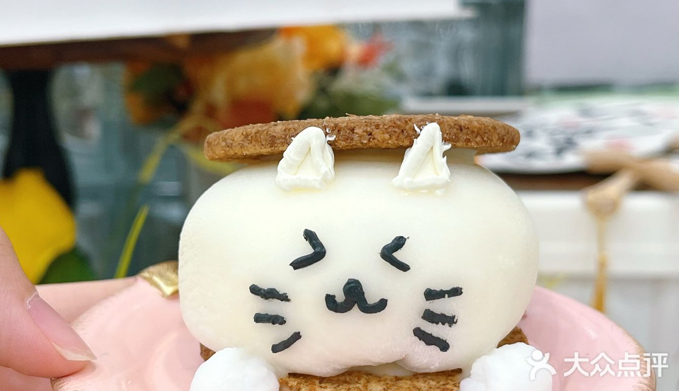 在广州‼️超高颜值的🐱🐱蛋糕怎么舍得吃呀！