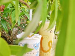 -CoCo都可(中华广场店)