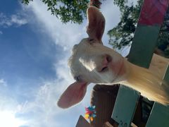 -午潮山国家森林公园