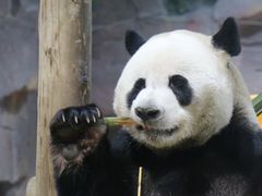 -栾川竹海野生动物园