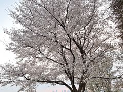 -东湖生态旅游风景区