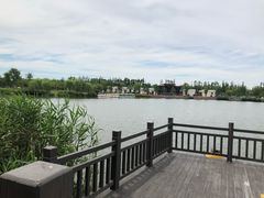 -上海长兴岛郊野公园