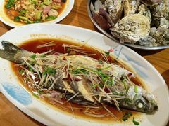 清蒸油淋鲈鱼-和源祥·日照菜扛把子(万平口一店)