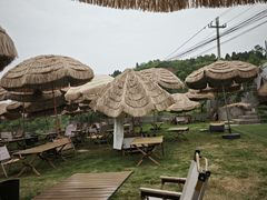 -桃源山庄·水蜜桃采摘·柴火鸡·烧烤团建(龙泉山店)