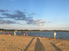 -柳湖沙月沙滩公园