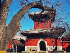 -北京艺术博物馆(万寿寺)