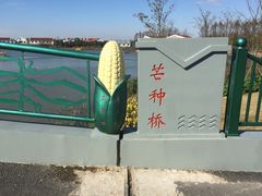 -上海长兴岛郊野公园