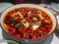 毛血旺-雲蜀龙阁·金牌水煮鱼(方庄店)