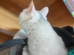 -联合动物医院(光谷诊疗中心)