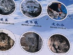 -青藏高原野生动物园