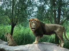 -北京野生动物园