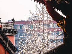 -长春观