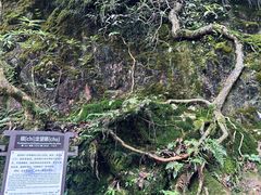 -西岭雪山大飞水景区