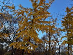 -森林公园(尖草坪区)