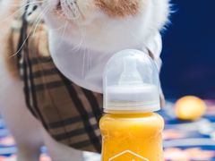 -milkplus·泰式奶茶(较场东路店)