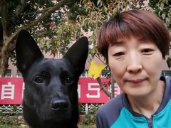 -宠福鑫康馨动物医院·骨科·眼科