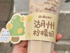 -猫的魔法密林(衣裳街店)