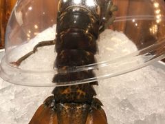 -都会尚膳·海鲜自助餐厅(重庆万豪酒店)