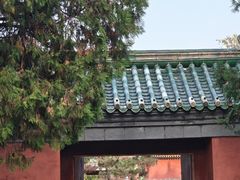 -一尺花园(首钢店)