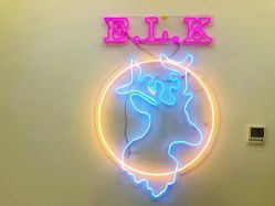 -E.L.K造型momopark店
