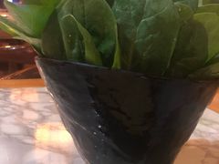 -杨家火锅(国美店)