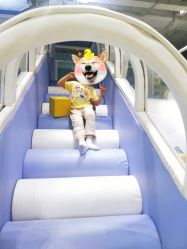 -利奥梦幻主题乐园(爱琴海购物公园店)
