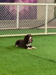 -酷嗒动物文化乐园(cutezoo西溪乐天城店)