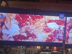 -三强鸽子(中原路店)