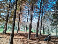 -贵阳市花溪国家城市湿地公园