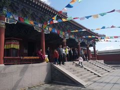 -塞罕坝国家级自然保护区