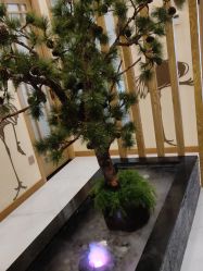 -芳朵美容养生SPA