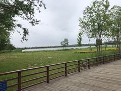 -绿堤公园