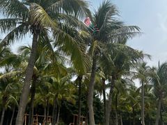 -深圳湾公园(南山区)